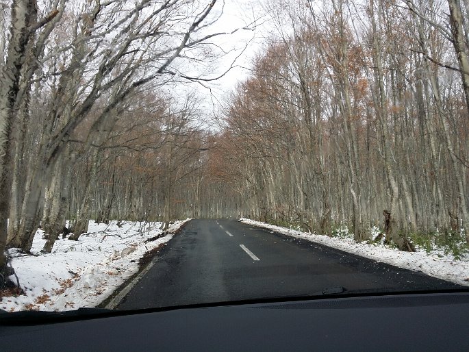 CameraZOOM-20161113102341407 Road closure across the mountains so we had to take detour
