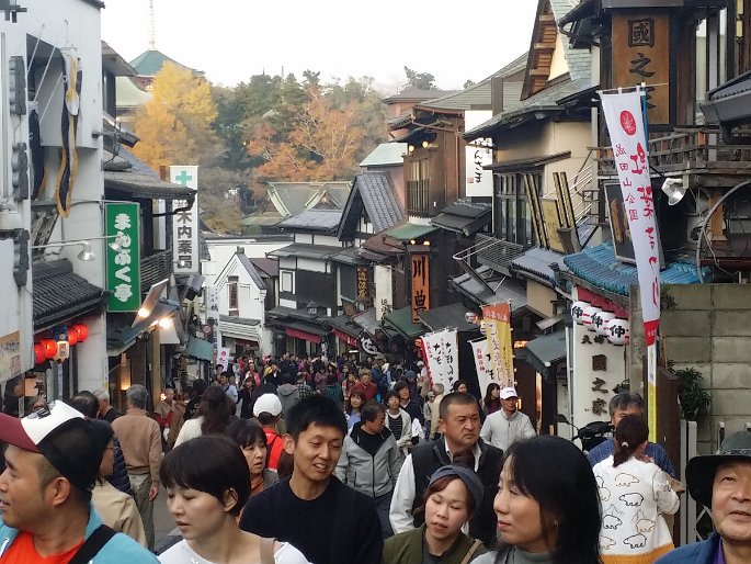 CameraZOOM-20161120154244528 Very lively shopping street