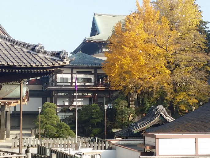 CameraZOOM-20161120082706756 View of the temple from the room