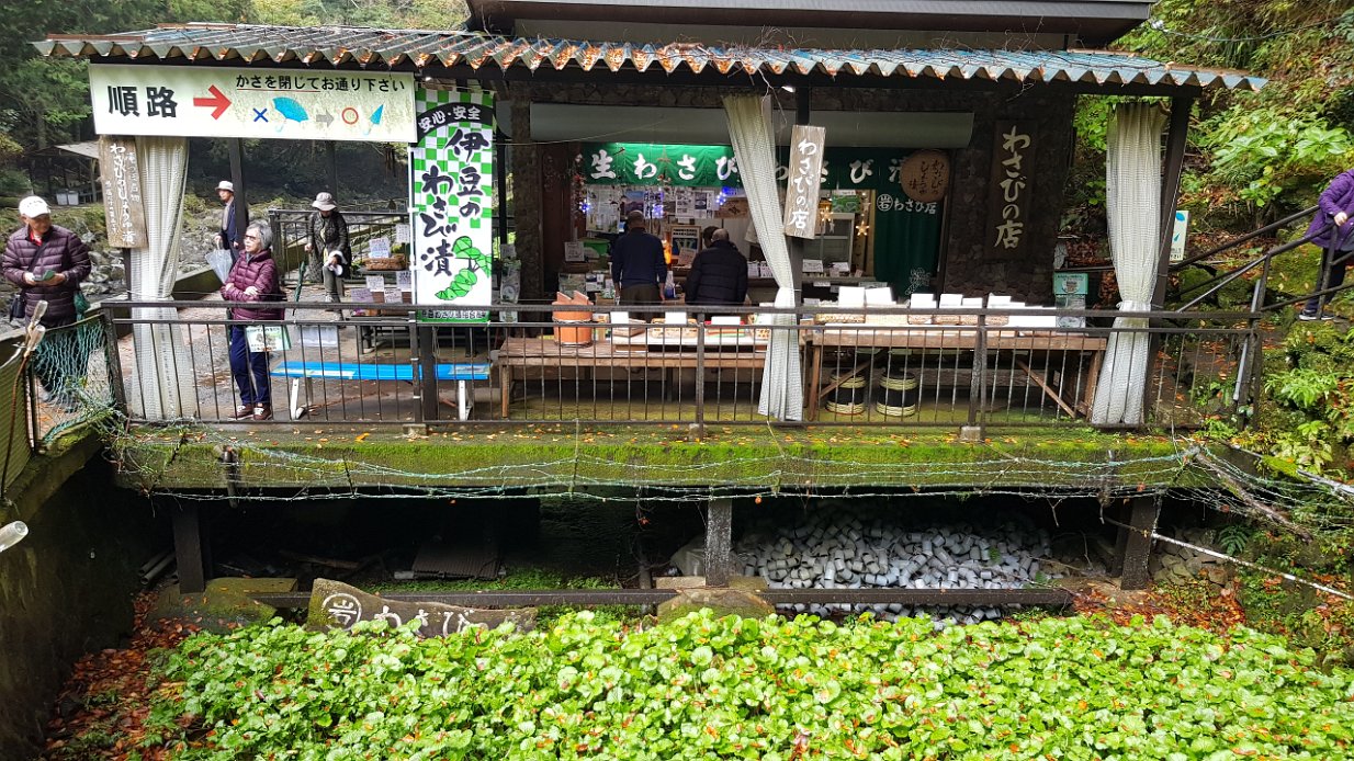 20171108_101208 Wasabi shop at Joren Falls