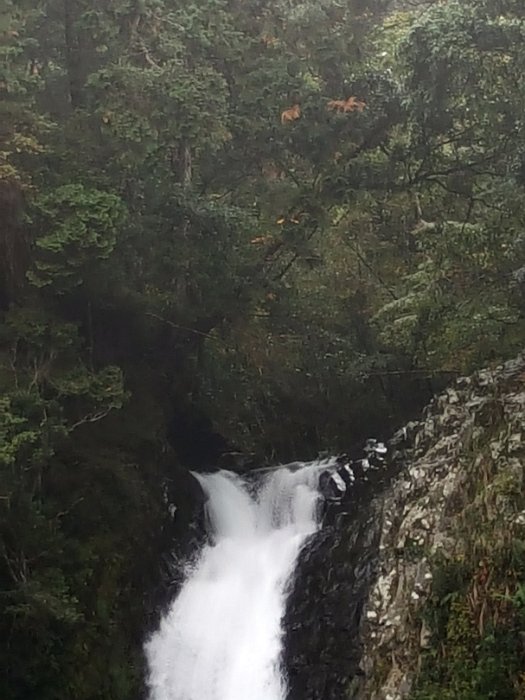20171108_101646