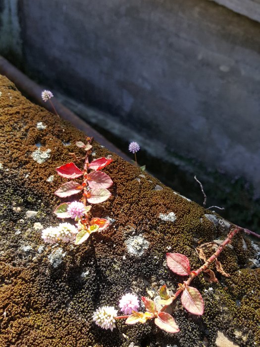 20171105_093343