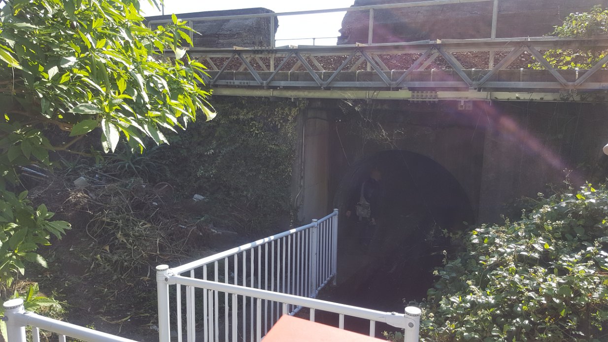 20171105_094815 Into the tunnel beneath the expressway