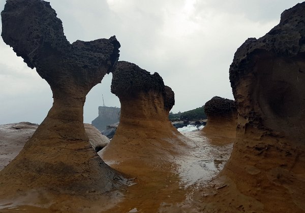 YeLiu Geological Park 野柳地質公園 Despite the crowd, it is still worth a visit if you like nature formations. We spent 2 hours at a leisurely pace and did...