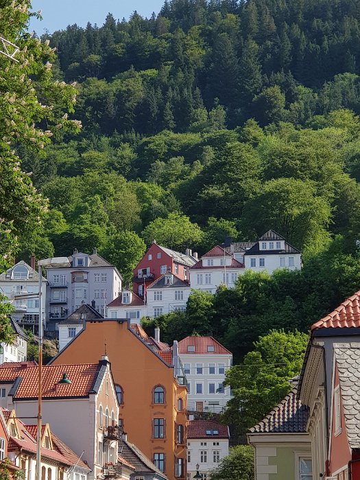 20180530_105236