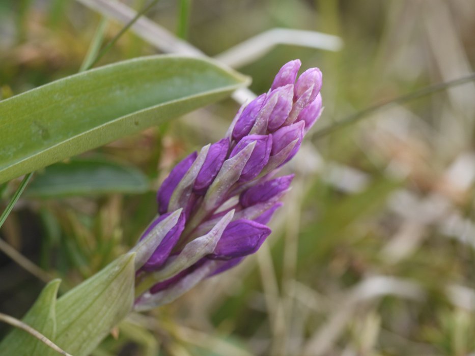 P1120779