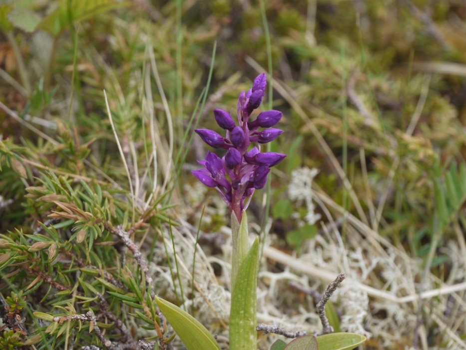 P1120781