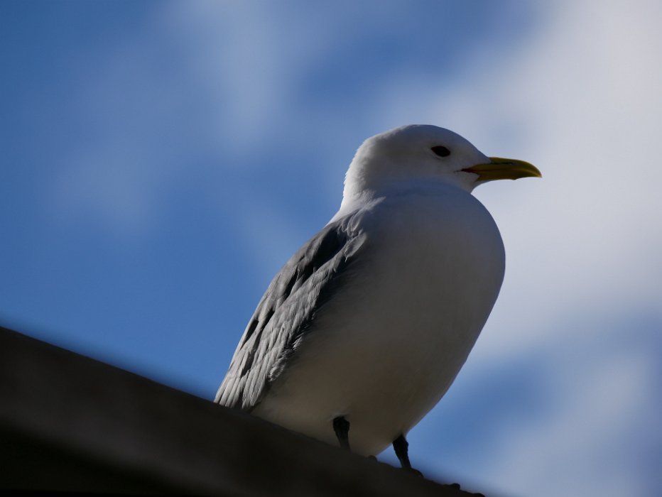P1080422