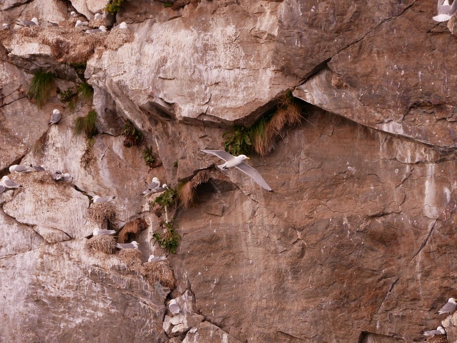 P1080838