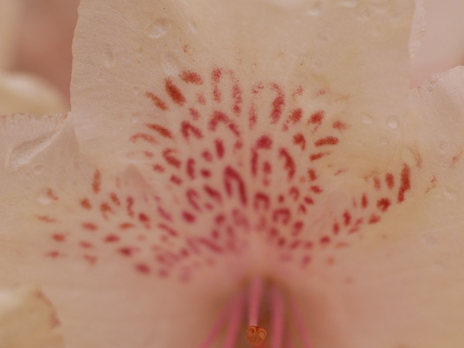 P1080926