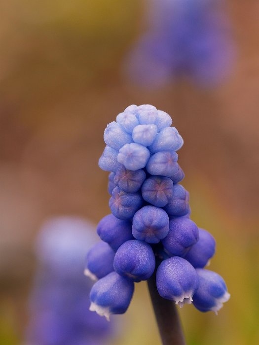 P1080936