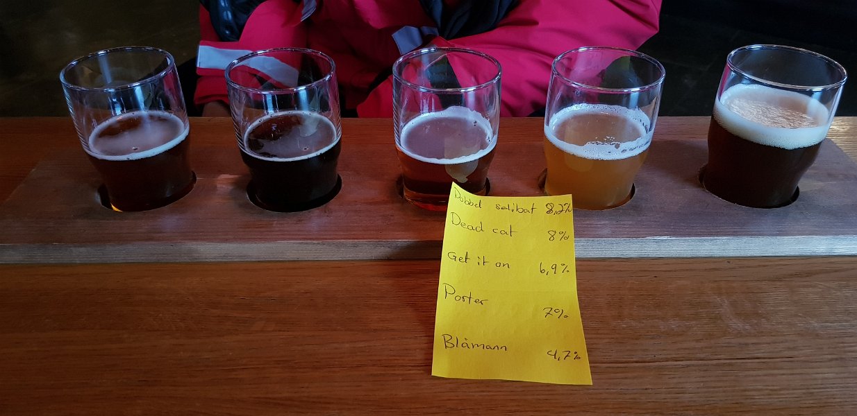 20180609_163103 Graff Brygghus, Dead Cat Double IPA was my favourite of the lot
