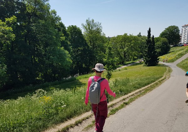 May 27 2018 Hike from Kjelsås to Oslo Central We took a bus to Kjelsås Station, followed the Akersalva river for a 14km walk hike back to Oslo City Central. Passing...