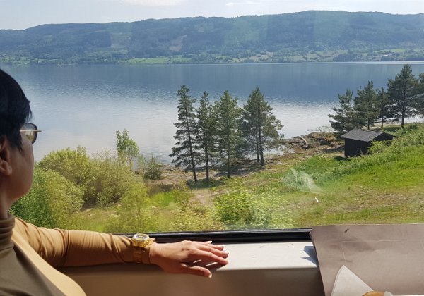 May 29 2018 Changing Landscapes from Oslo to Bergen Touted as the most scenic train ride in Europe and it did not disappoint. Spen 7 hrs snapping through the window ... as...