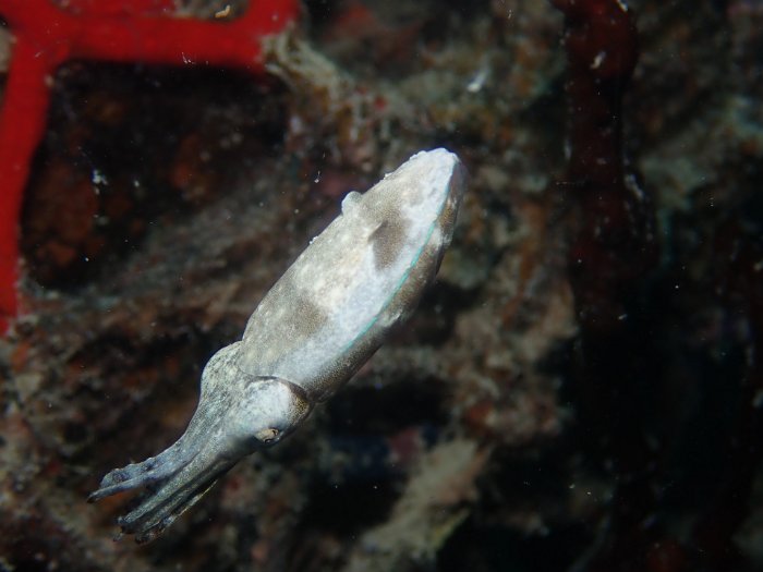 P4270012