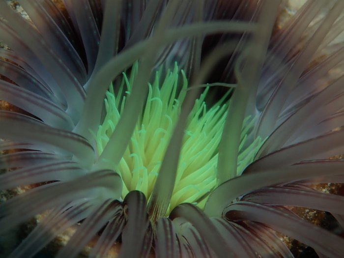 P4280050