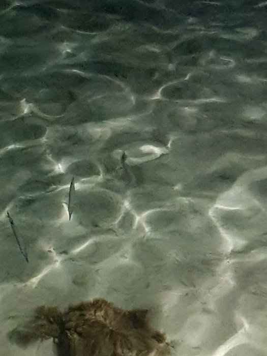 20190427_185201