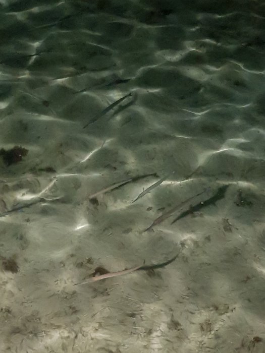 20190427_185940