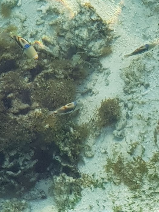 20190429_064106