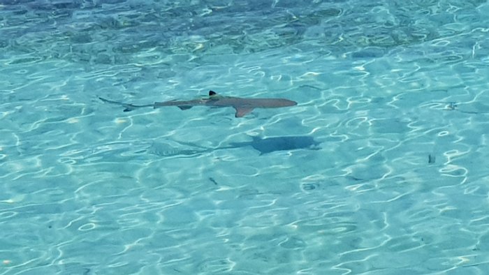 20190501_113245
