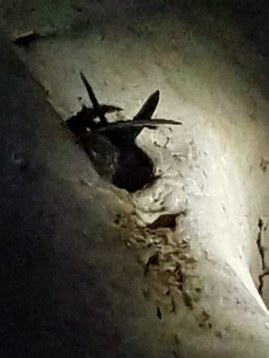 20190503_150442