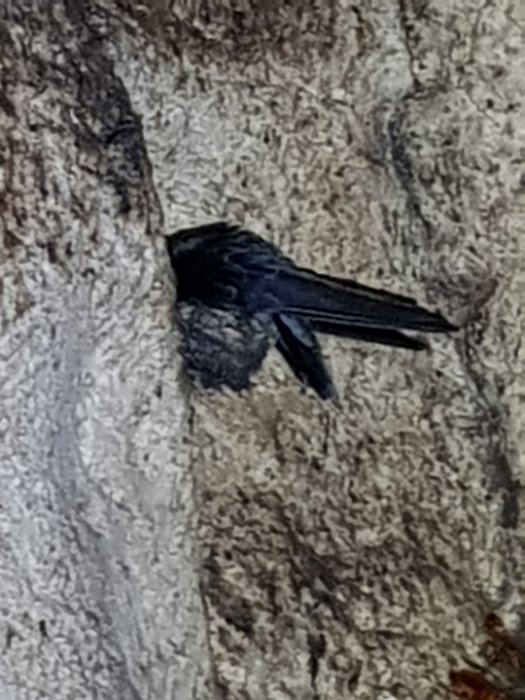 20190503_150500