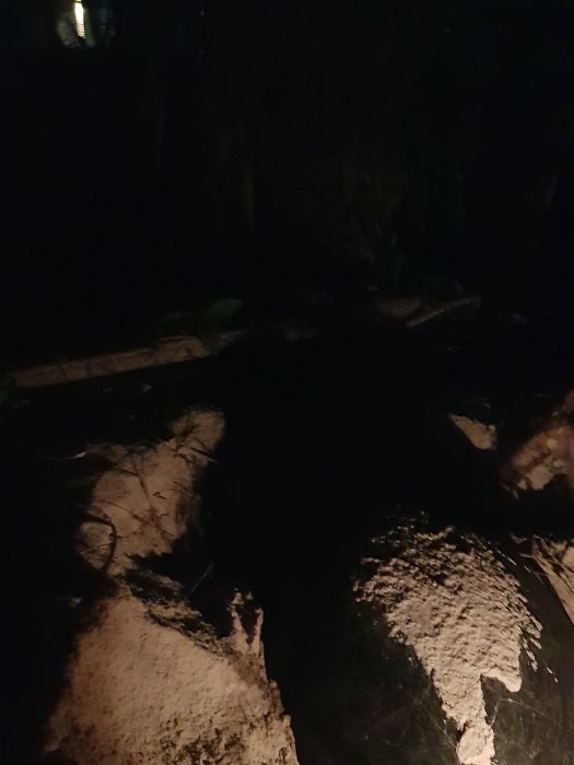 20190430_210258