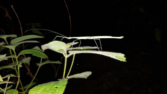 20190504_192625