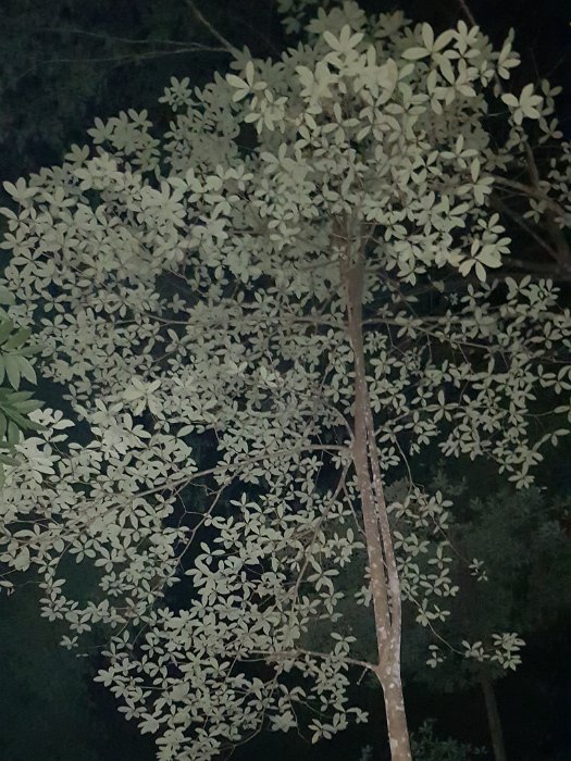 20190504_192848