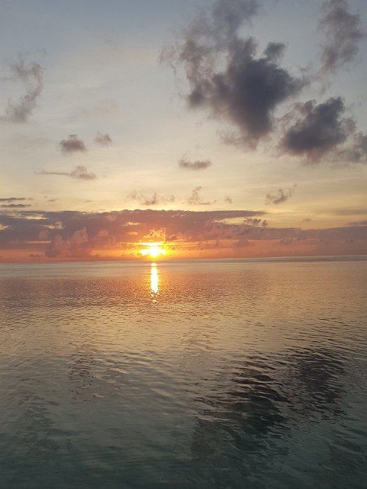 20190430_060039