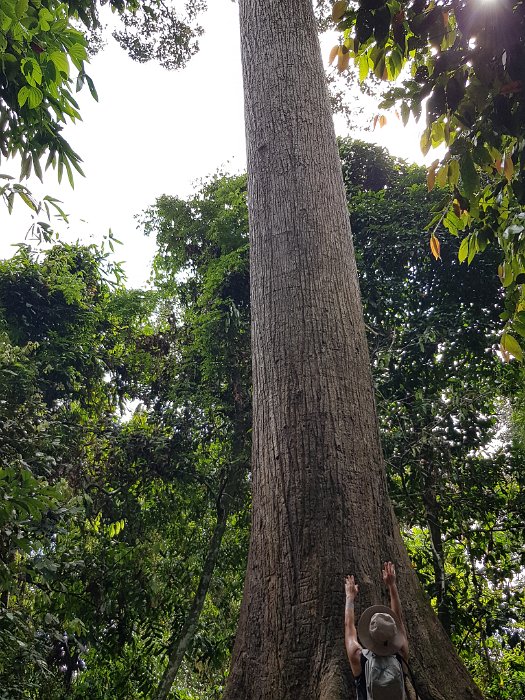 20190505_100249