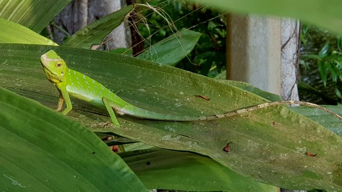 20190505_164539