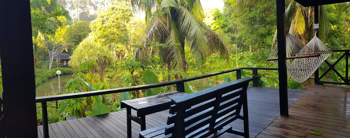 20190506_063735 The Patio