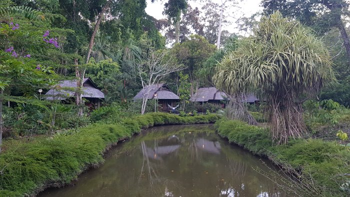 20190502_175050 The rooms are all nested within the wilderness