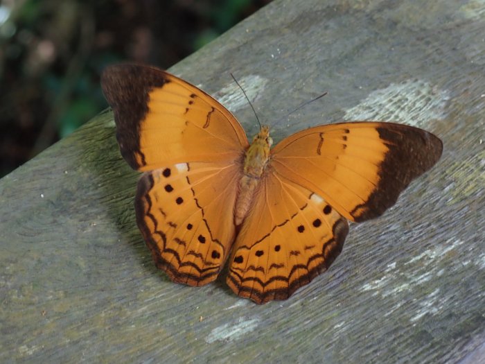 P5040472