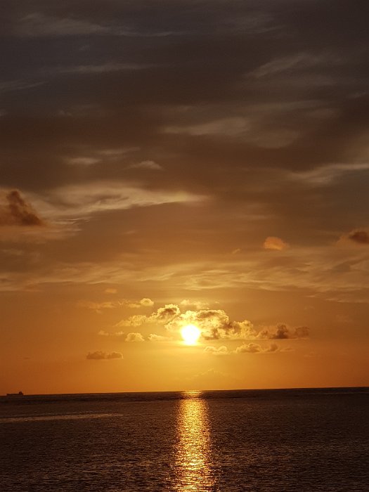 20190501_060717