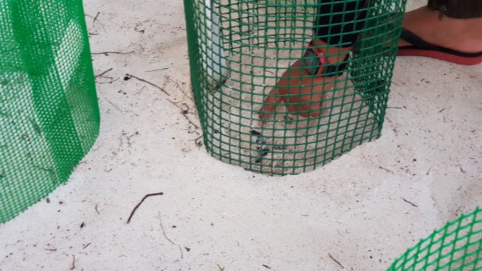20190428_180120