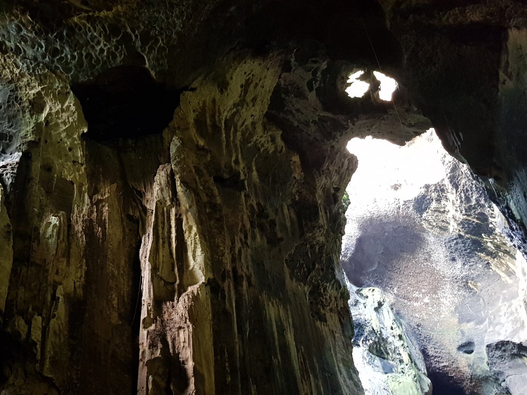 Gomantong Caves We got lucky and saw the red leaf monkey outside the caves. Warning, if you dont like strong smell and roaches, the cave...