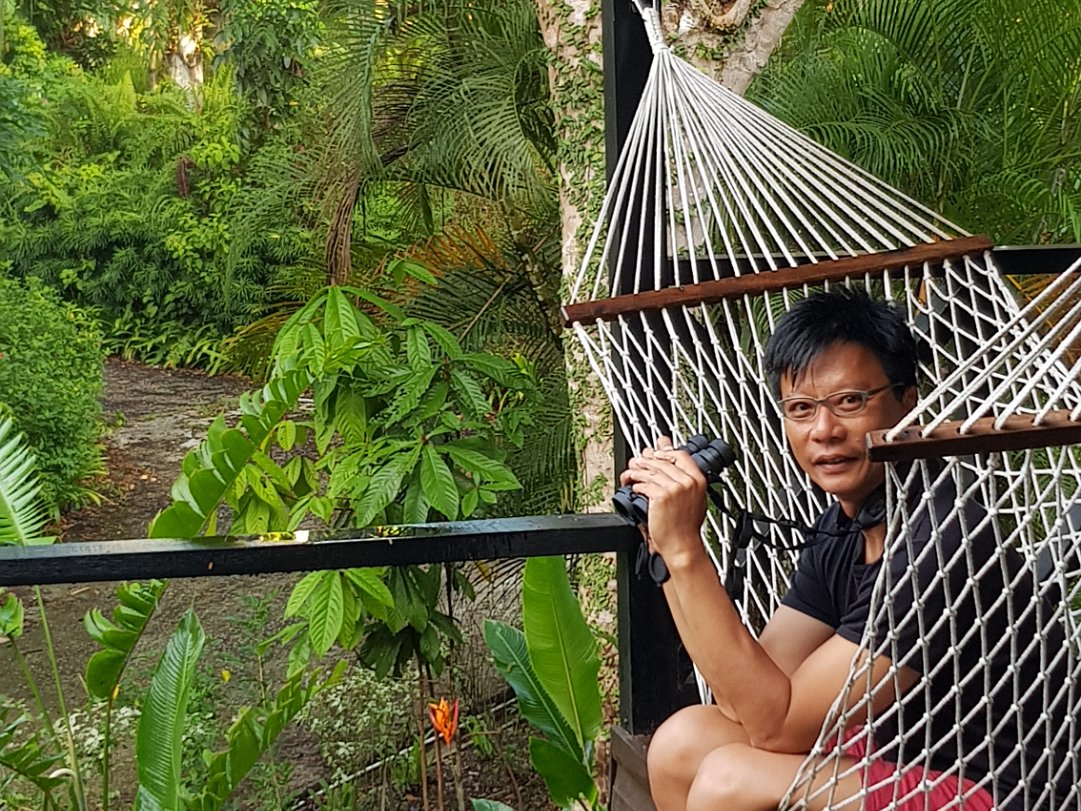 Room14 @ Sepilok Nature Resort Our room was nested among the greenery with a patio that overlooks the pond where we spent hours bird watching from the...