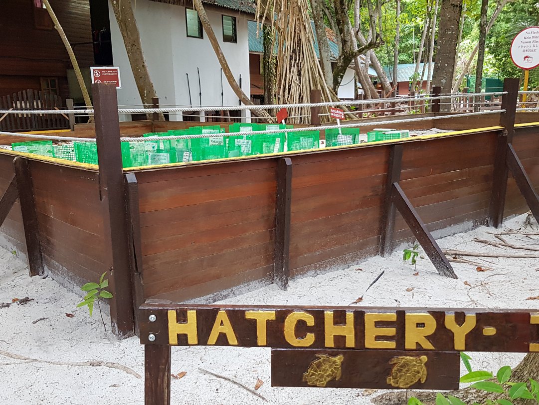 Turtle Hatchery We signed up for
