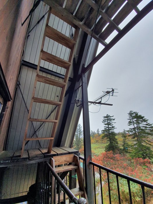 20191006_151442 Climbing up to get a better view