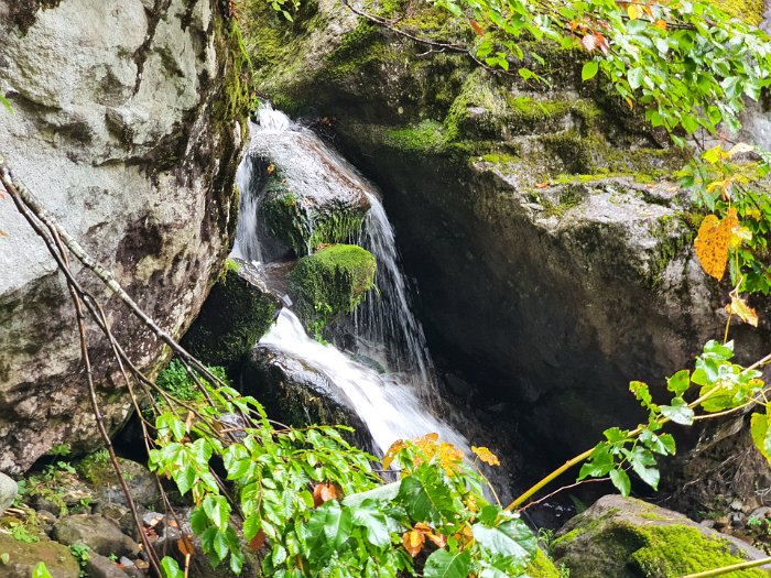20191006_082229