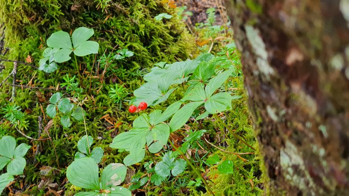 20191007_093406