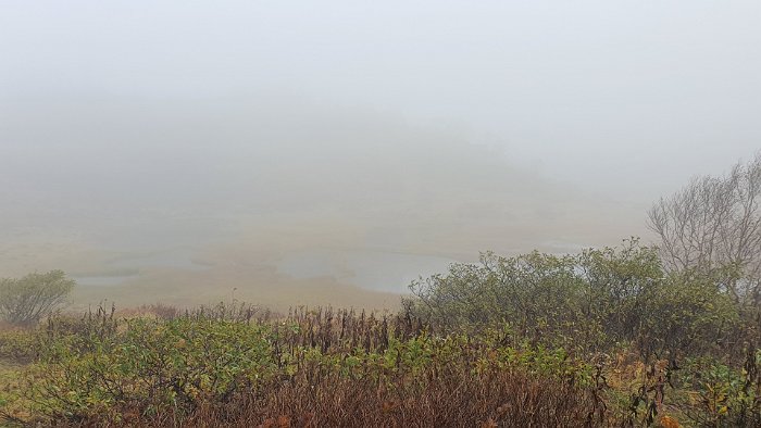 20191007_070221