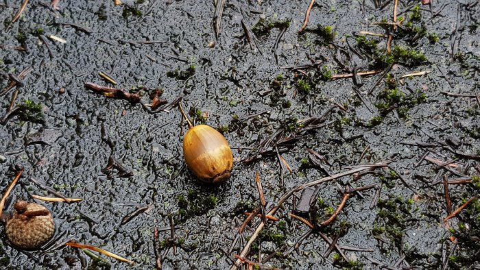 20191008_092952