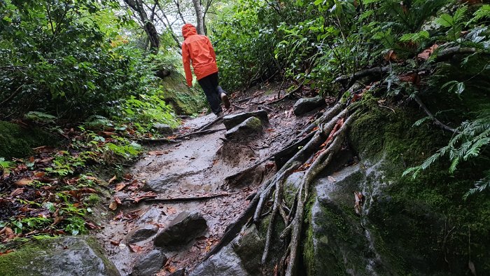 20191008_122901 A short 0.5 km walk to the waterfall.