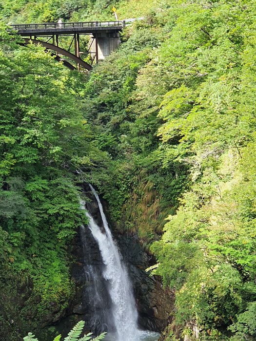 20191009_095641 Wonder who owns the house at the falls.