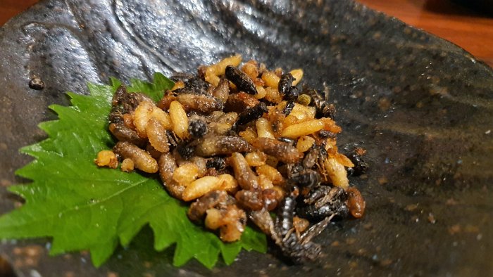 20191011_200032 Fried Baby Bees