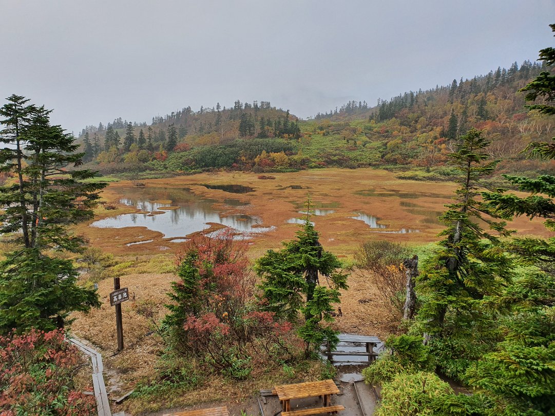 Koyaike 高谷池 The marsh in Koyaike was already in its autumn colors. As I sat there waiting for the sun to show its true colors, it...