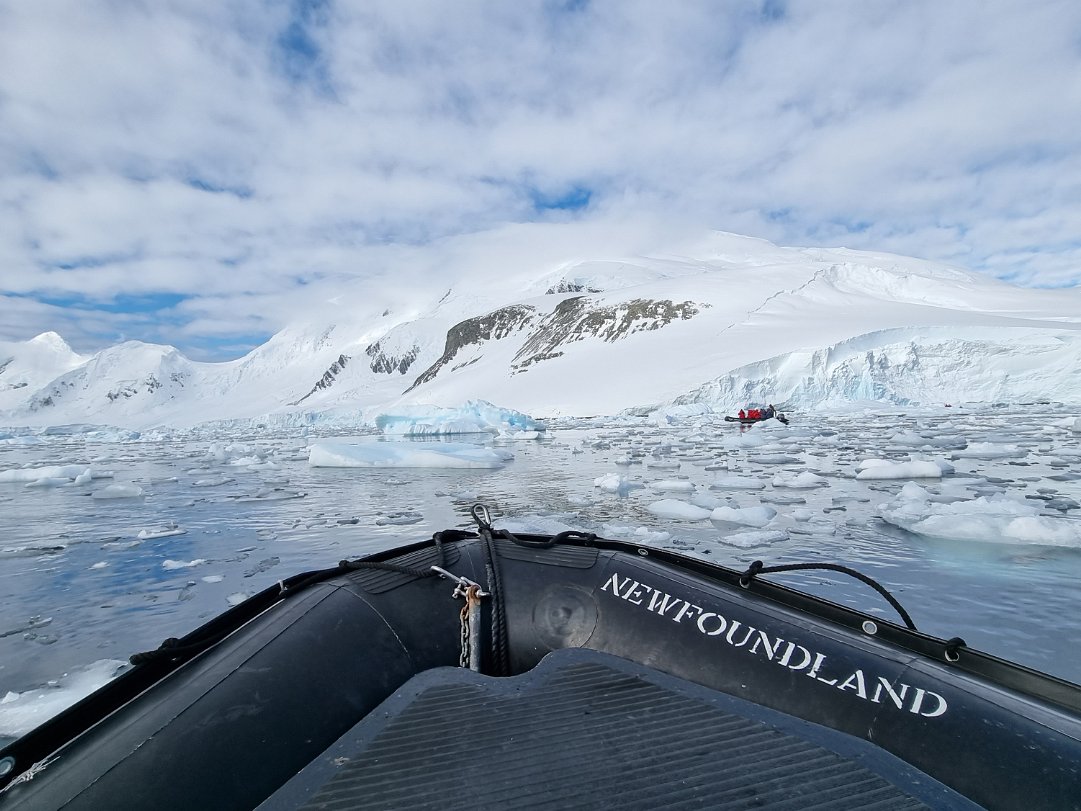 Zodiac Cruising The afternoon was a 40mins zodiac cruise for a closer exploration of the ice. Saying Hello to the different seals...